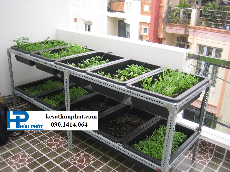 kệ rau trồng cây xanh bằng sắt v lỗ
