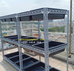Kệ trồng rau - 05